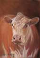 Moo!