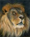 Lion of Judah