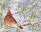 Red & White Christmas
