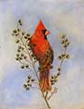 The Christmas Cardinal