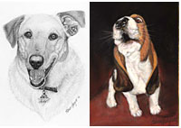 Pet Portrait gallery