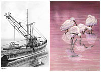 Coastal Life seascape gallery