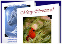 Christmas Card Collection