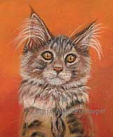 Maine Coon cat pastel drawing
